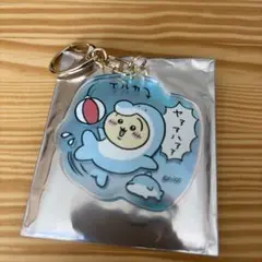 ちいかわ水族館　オーロラアクリルキーホルダーコレクション うさぎ（イルカ）