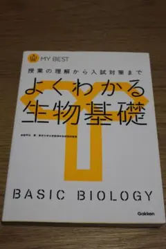 Item thumbnail for item e1172bf4-c9a4-4ee9-9f45-712426a03860