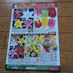 国華園 2026年9月号 園芸カタログ 苗木 果樹 球根