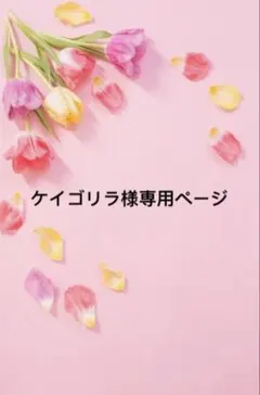 ケイゴリラ様 リクエスト 2点 まとめ商品