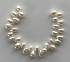 Item thumbnail for item 9b859009-5824-4454-8eca-626cccdd1684