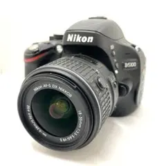 ✨ショット数3981回 美品 Wi-Fi搭載✨Nikon D5500レンズセット - メルカリ