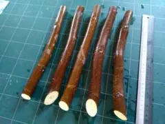 kappa様 リクエスト 2点 まとめ商品