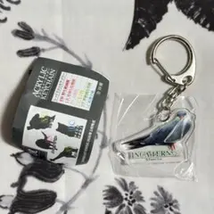 インカアジサシ/多摩動物公園アクリルキーホルダーのサムネイル
