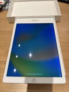 〈状態良好〉iPadPro128GB 12.9インチ WiFi+Cellular