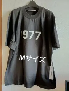 ESSENTIALS FEAR OF GOD 1977 ラガーシャツ - メルカリ