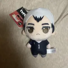 ハイキュー!!　ぷちっしゅ ぬいぐるみ 北信介