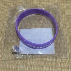 少女☆歌劇 レヴュースタァライト ラバーバンド 凛明館