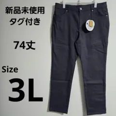 カラーパンツ【3L】蓄熱綿 静電防止 スリムストレート ストレッチ ウエストゴム