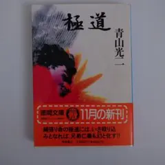 Item thumbnail for item 06c960f6-42d4-4c93-aea7-97d4a9990f81