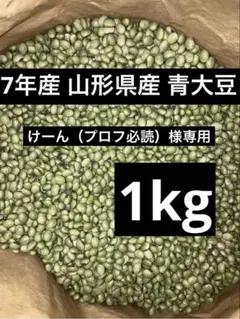 けーん（プロフ必読）様専用