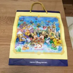 ディズニーランド紙袋　/ 30周年当時の物
