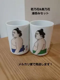 【レア物です！！】若乃花&貴乃花　湯呑み２個セット