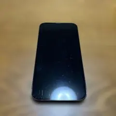 Apple iPhone 13 Pro グラファイト