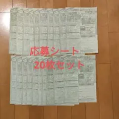 週刊少年ジャンプ 2026年4・5号　ONE PIECE　応募シート20枚セット