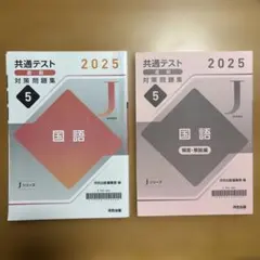 共通テスト2025 対策　プレパック Amazon.co.jp: 2025 共通テスト対策 【実力完成】 プレパック ラーンズ