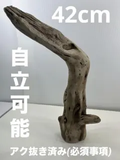 Item thumbnail for item 383a4534-1fb7-4396-9bdb-b6b75d8b32db