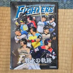 大谷翔平表紙 週刊ヤングジャンプ 2015年No.17 - メルカリ
