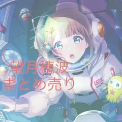 望月穂波 まとめ売り
