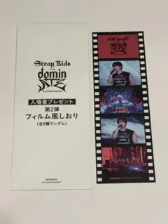 Stray Kids 映画特典フィルム風しおり　チャンビン
