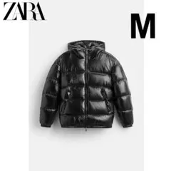 Item thumbnail for item 237db3c5-40dd-485b-a513-ad44a16682b9