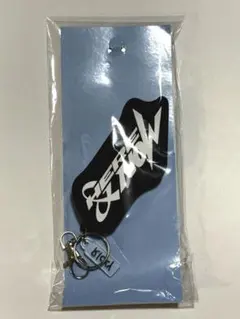 POINTLESS JOURNEY LOGO KEY CHAIN - メルカリ
