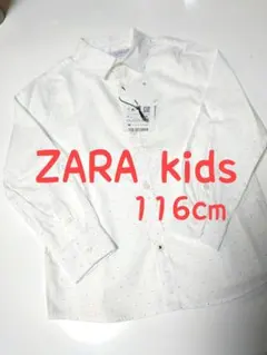 ザラ　ブラウス