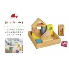 GENI 音いっぱいつみき