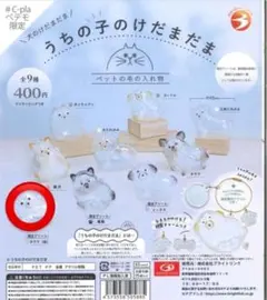 うちの子のけだまだま 犬のけだまだま 限定アソート チワワ 白