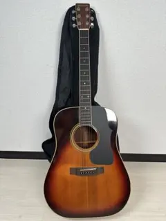 2025年最新】ジャパンビンテージ ギターの人気アイテム - メルカリ