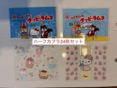 ハーフカプラ 24枚まとめ売りのサムネイル