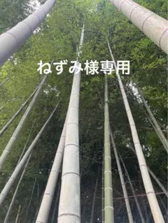 ねずみ様専用ページ