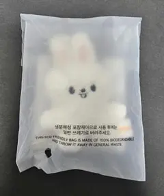 スキズ 韓国 POPUP エブリウェア リービット キーリング ソウル キンパ