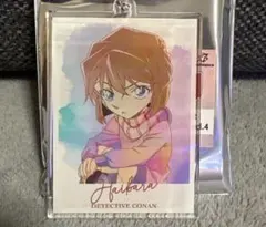 名探偵コナン Ani-art アクリルキーホルダー 灰原哀