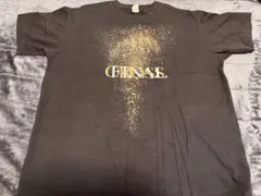 Item thumbnail for item 5743a721-9746-4ff2-bcb4-2350fd786034