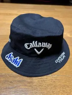 Item thumbnail for item 111bcfb8-1b15-4f0a-9e05-ca171a55b7bf