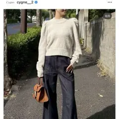 ✨新品未使用 Cygne シーニュ スクエアパフスリーブニット Victor