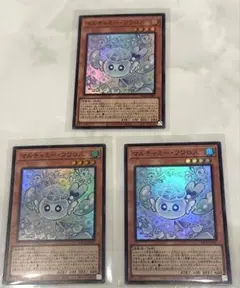 遊戯王 マルチャミー・フワロス 3枚