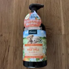 新品・未使用 クナイプ 泡ボディウォッシュ ネロリの香りのサムネイル