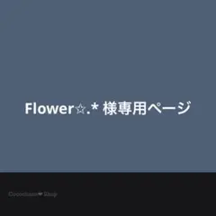 Flower✩.* 様専用ページ