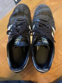 Item thumbnail for item 4d4ce702-ce7e-460b-a83f-4fb539abc70c