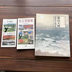 炎の勝負師 坂田栄男1-3巻 セット - メルカリ