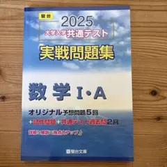 駿台　2025大学共通テスト実践問題集数学I・A