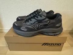 Mizuno WAVE RIDER β GTX 26.0cm グレー/ブラック