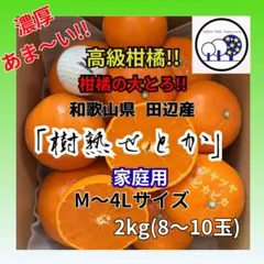 ②和歌山県田辺産 せとか オレンジ みかん 蜜柑 柑橘 家庭用2kg
