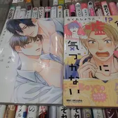 24商業 BL 2冊で 680円までのセットでしたら3組購入で1200円