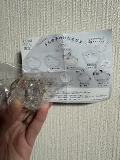 けだまだま　プードル