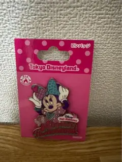 ほ*☆様 東京ディズニーランド ミニーパルパルーザ ピンバッジ