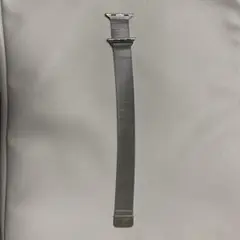 Apple Watch メッシュバンド シルバー