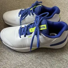 Item thumbnail for item a427b649-6704-4cba-8f04-4fb8d6dc3f06